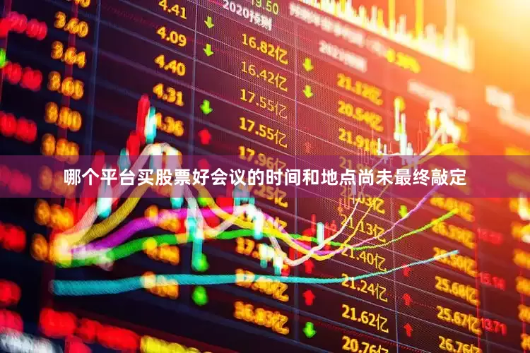 哪个平台买股票好会议的时间和地点尚未最终敲定